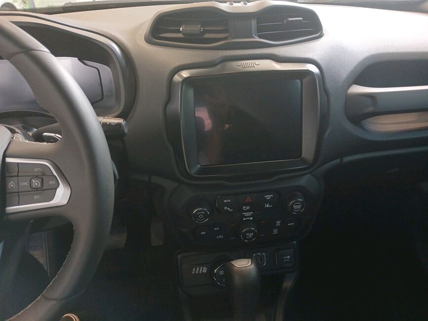 RENEGADE 1.3 T270 TURBO FLEX S 4X4 AT9