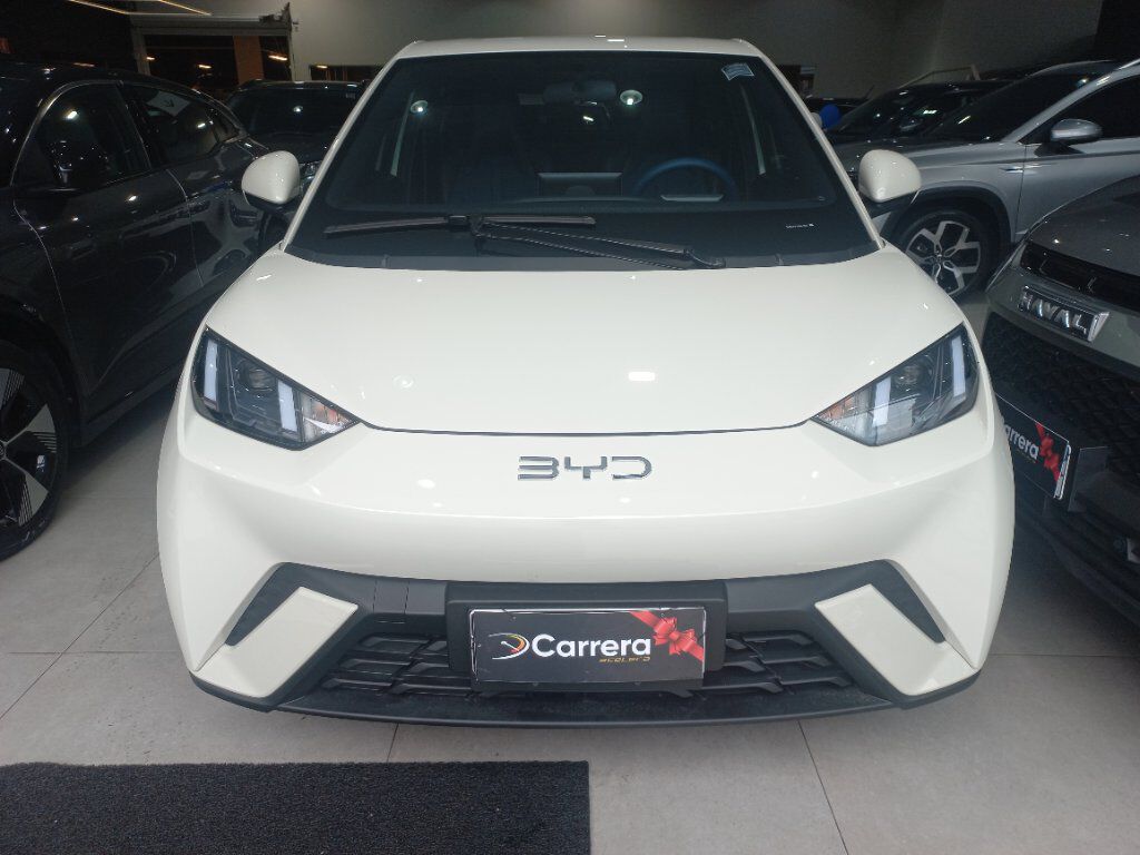 DOLPHIN MINI 38 KW GS ELÉTRICO