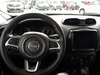 RENEGADE 2.0 16V TURBO DIESEL LONGITUDE 4P 4X4 AUT