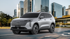 HAVAL PHEV19