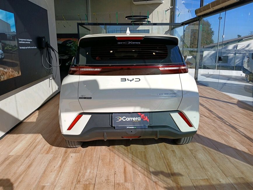 DOLPHIN MINI 38 KW ELÉTRICO
