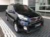 PICANTO 1.0 EX 12V FLEX 4P AUTOMATICO