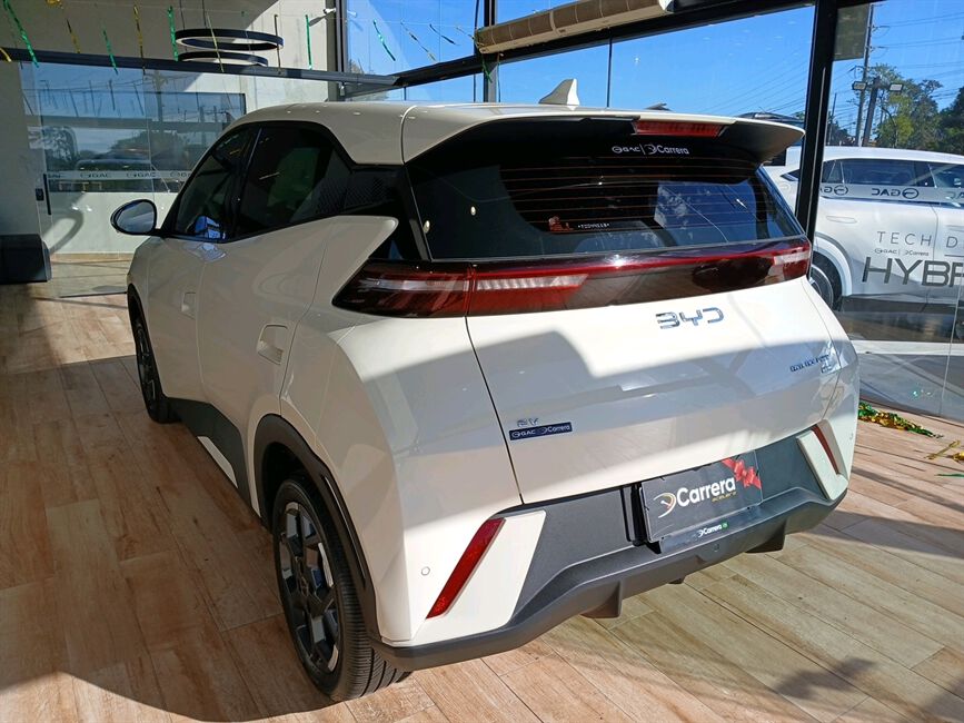 DOLPHIN MINI 38 KW ELÉTRICO