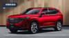 HAVAL H6 PHEV 34