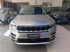 COMMANDER 1.3 T270 TURBO FLEX LONGITUDE AT6