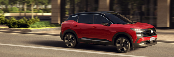 Imagem do kicks no formulário