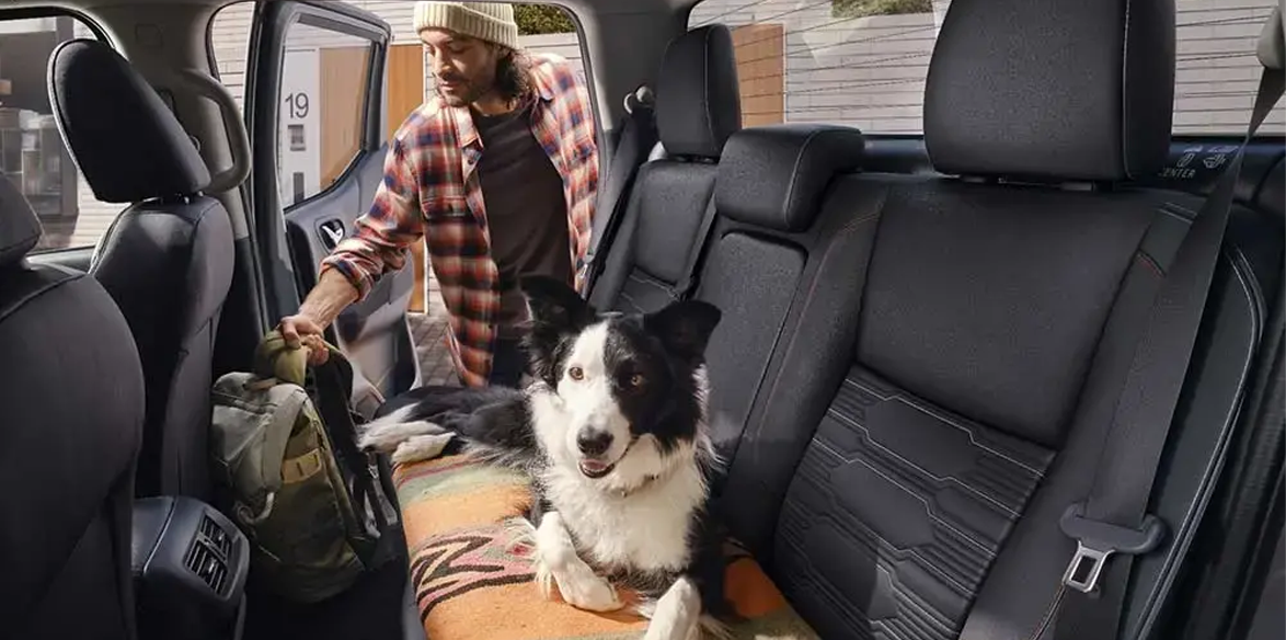 Imagem 4 do carrossel