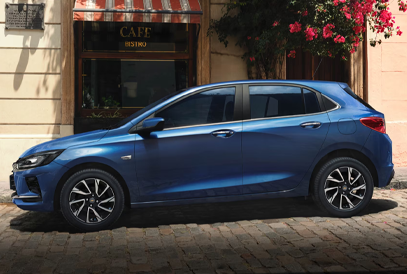 Imagem do onix no formulário