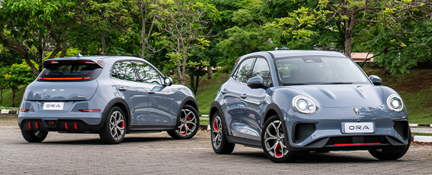 Imagem do ora no formulário