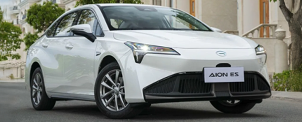 Imagem do aion-es no formulário