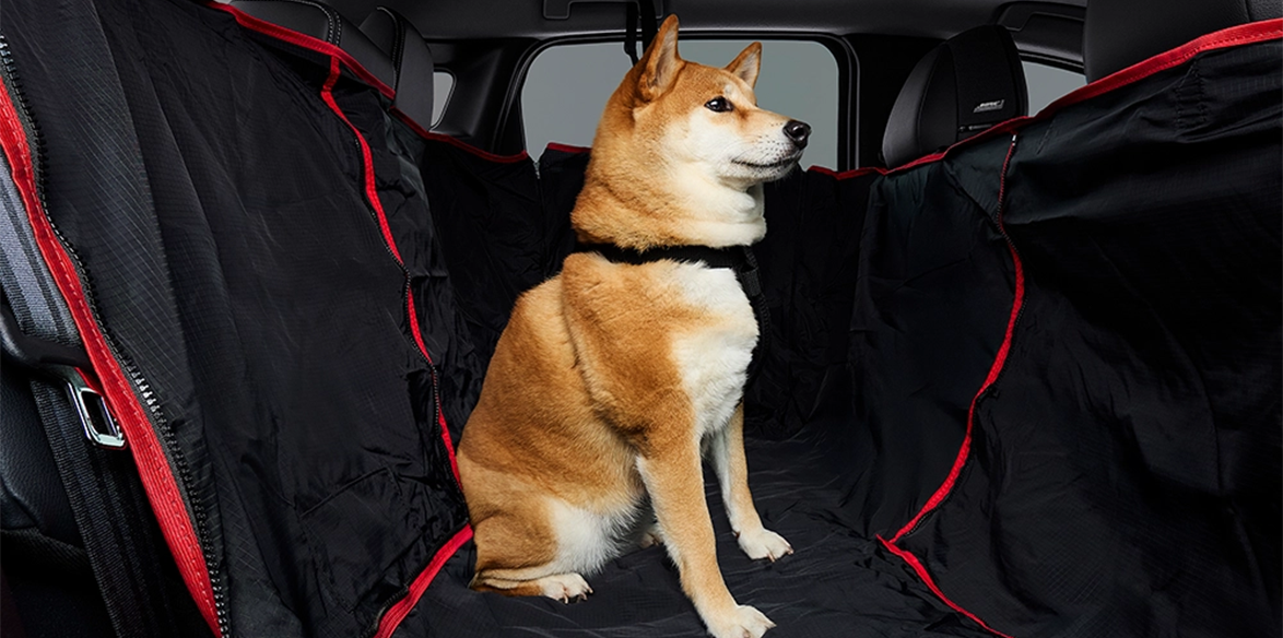 Imagem 4 do carrossel