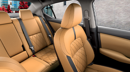 Bancos Revestidos em couro