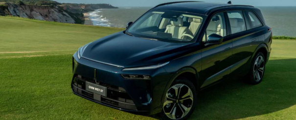 Imagem do wey-07 no formulário