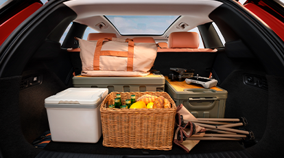 Autonomia de até 460 km no ciclo WLTP