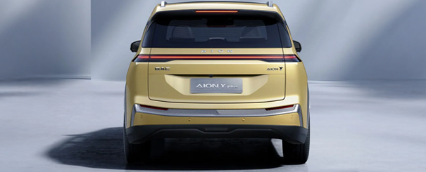 Imagem do aion-y no formulário