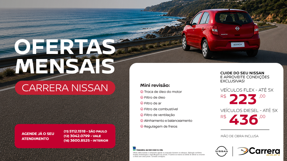 MINI REVISÃO NISSAN