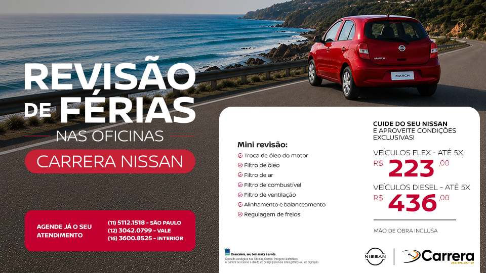 MINI REVISÃO NISSAN (FLEX E DIESEL)