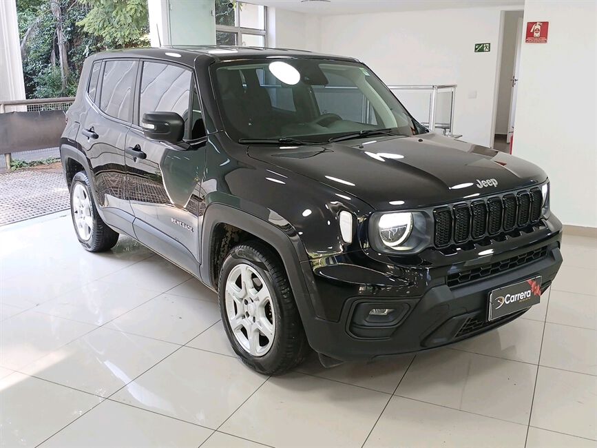 RENEGADE 1.3 T270 TURBO FLEX AT6