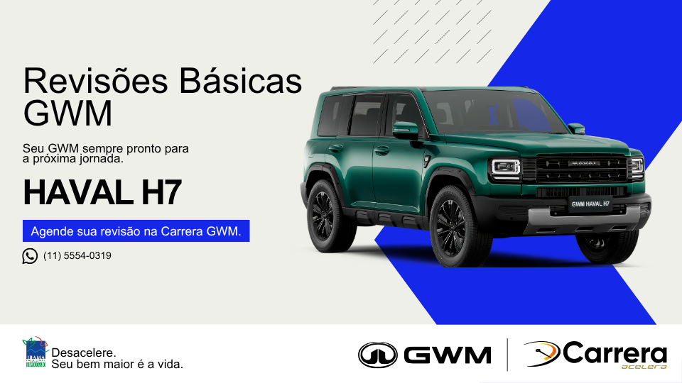 REVISÃO BÁSICA - HAVAL H7