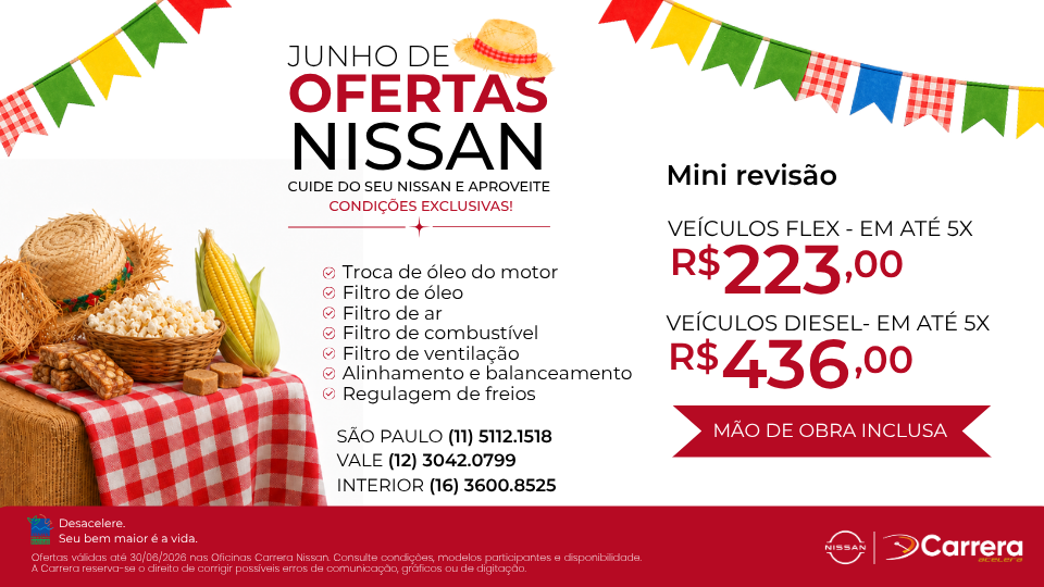MINI REVISÃO NISSAN (FLEX E DIESEL)