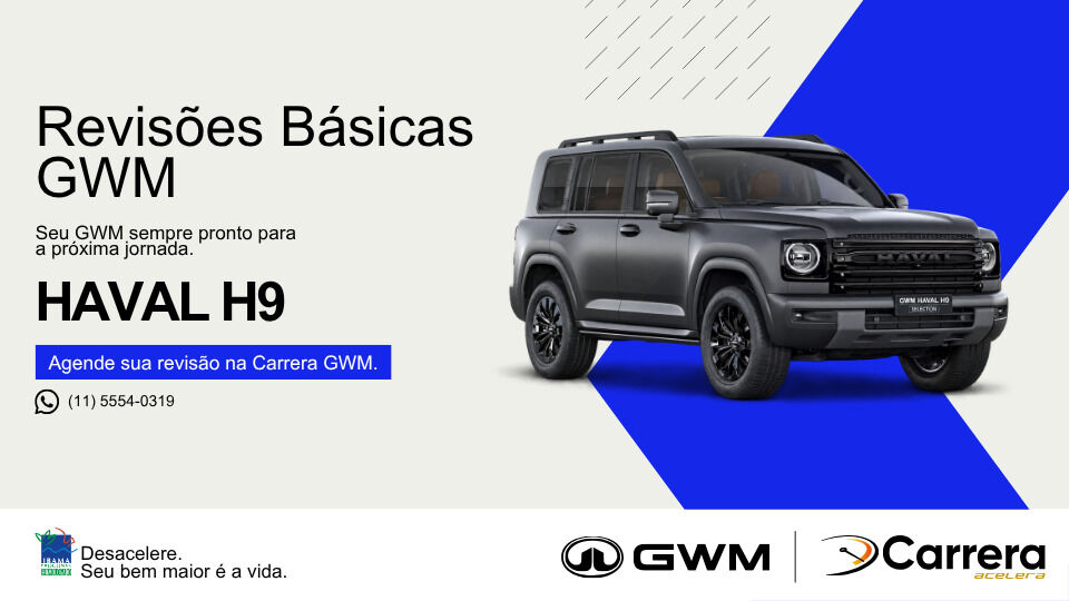 REVISÃO BÁSICA - HAVAL H9