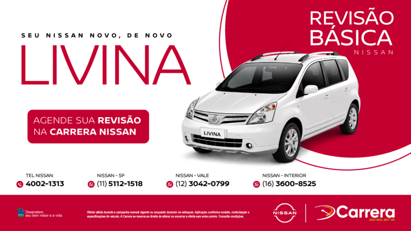 REVISÃO BÁSICA - LIVINA