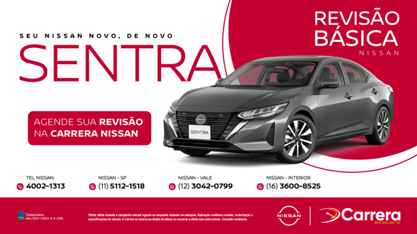 REVISÃO BÁSICA - SENTRA