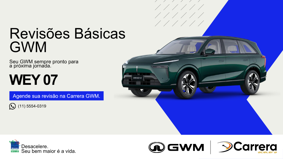 REVISÃO BÁSICA - WEY 07