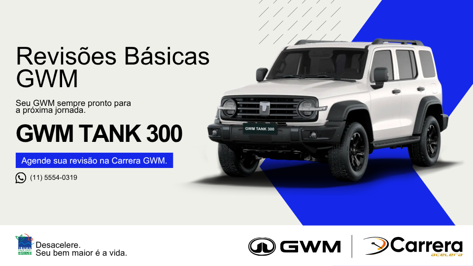 REVISÃO BÁSICA - TANK