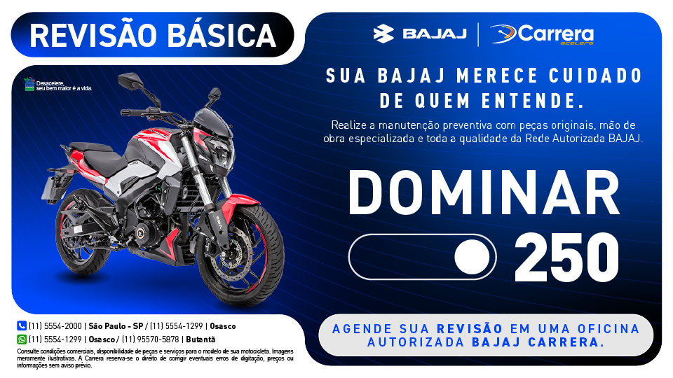 REVISÃO BÁSICA - DOMINAR 250