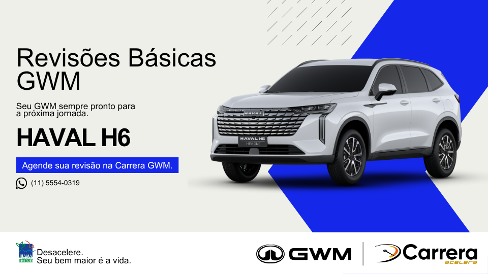 REVISÃO BÁSICA - HAVAL H6