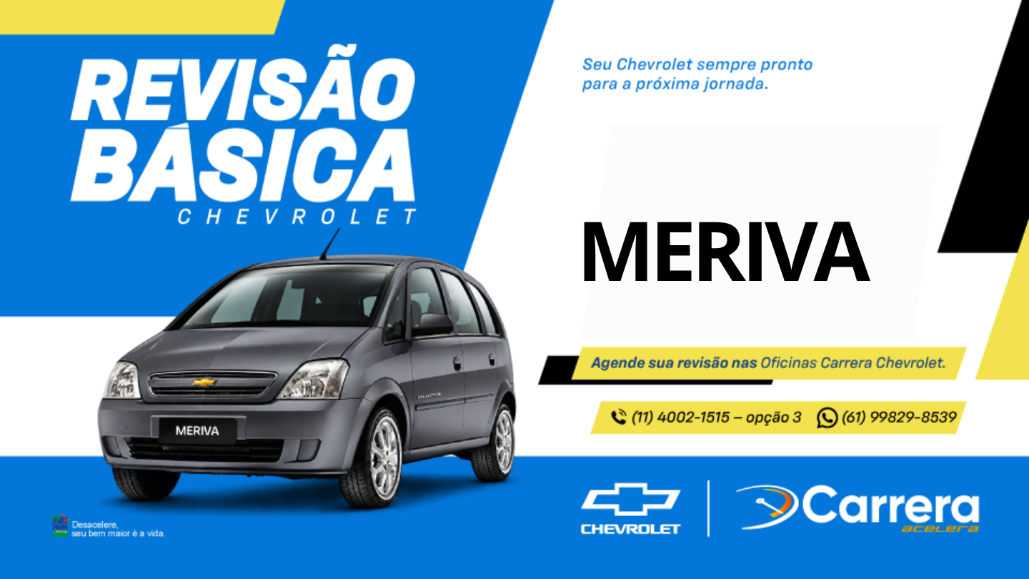 REVISÃO BÁSICA - MERIVA