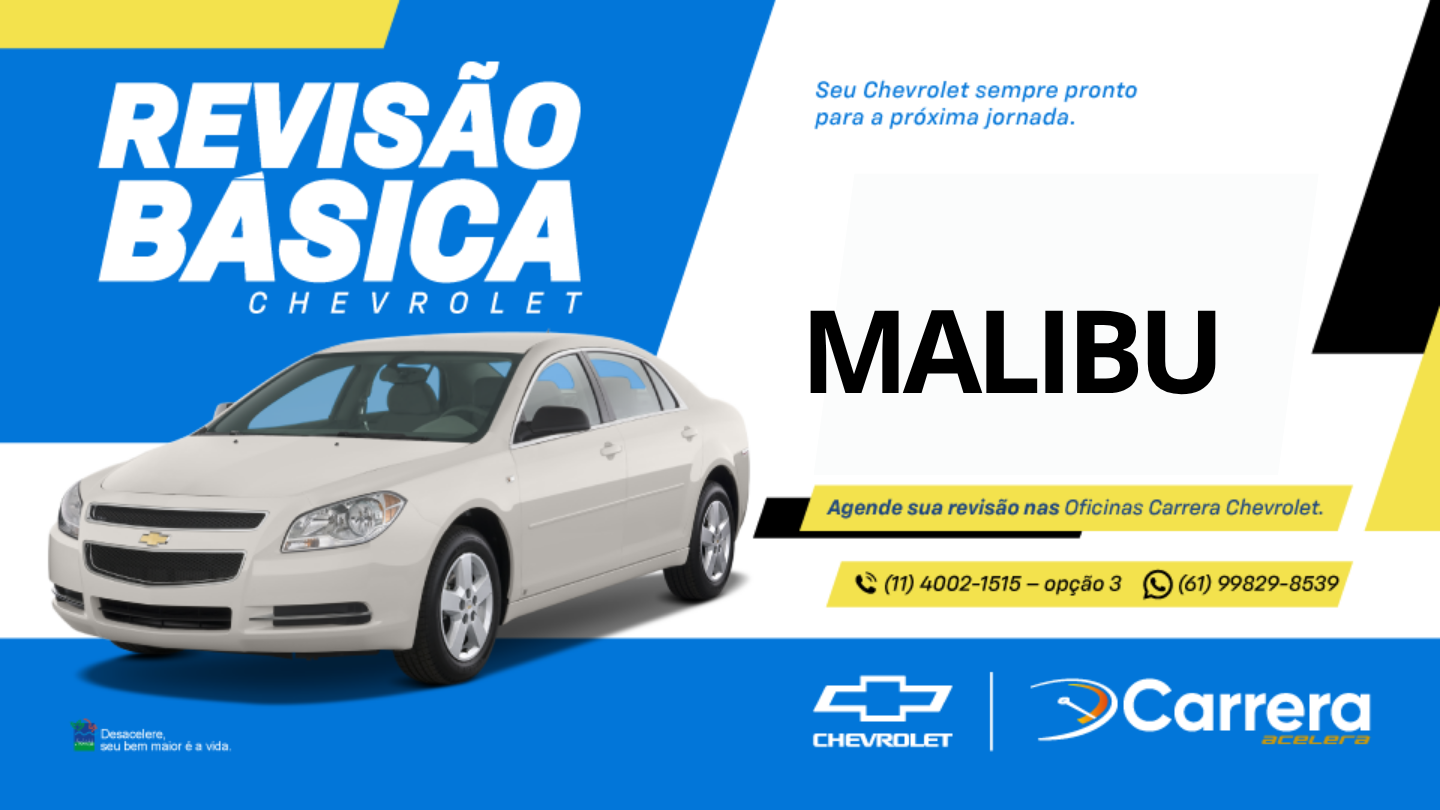 REVISÃO BÁSICA - MALIBU