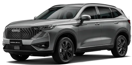 HAVAL H6 PHEV19