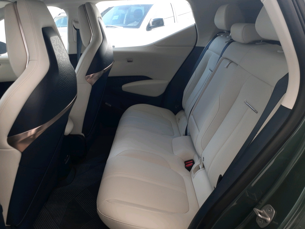 X 66 KW ELÉTRICO FLAGSHIP AWD