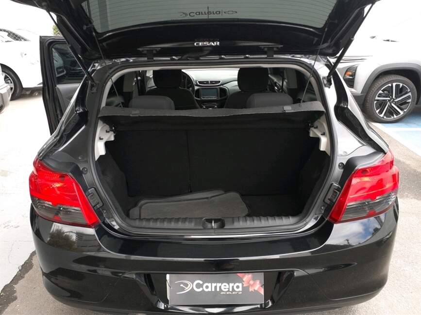 ONIX 1.4 MPFI LTZ 8V FLEX 4P MANUAL